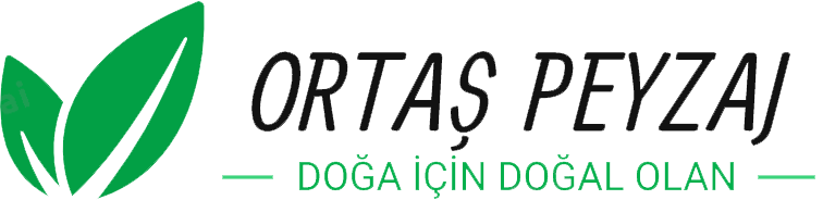 Ortaş Botanik & Peyzaj | Sivas Peyzaj - Sivas Bahçe Bakım